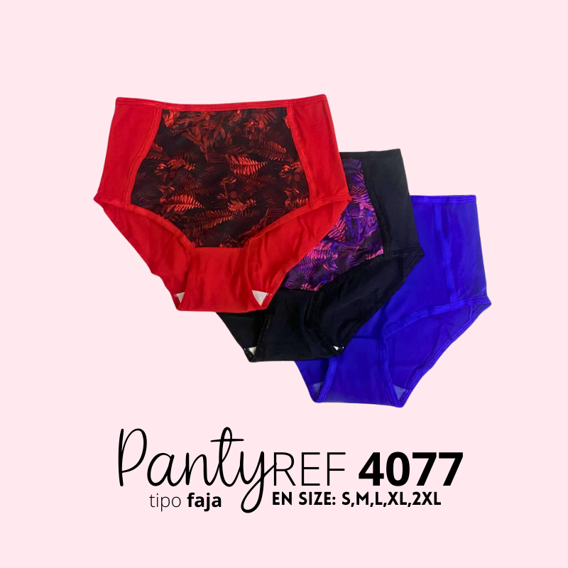 Panty Ref. 4077 (Pack 3 Unidades)